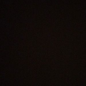 Meet your Posher, Monique